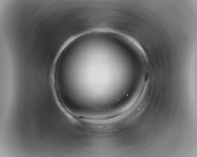 X0000115551005200911131600