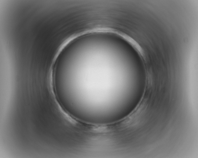 X0000115551006200911131600