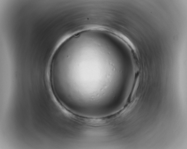 X0000115551007200911131600