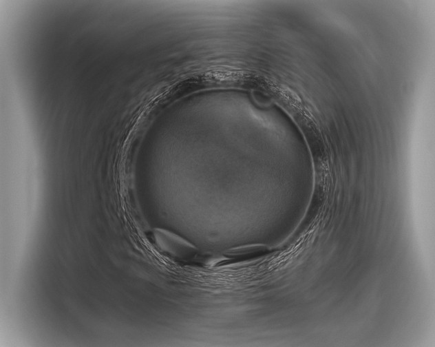 X0000115551009200911131600