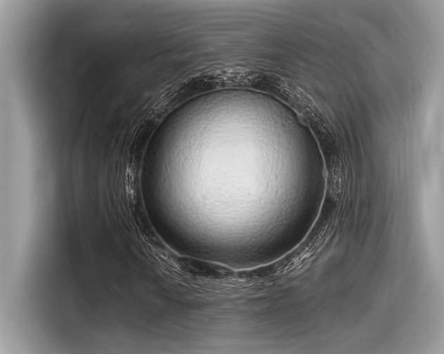 X0000115551010200911131600