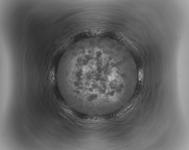 X0000115551011200911131600