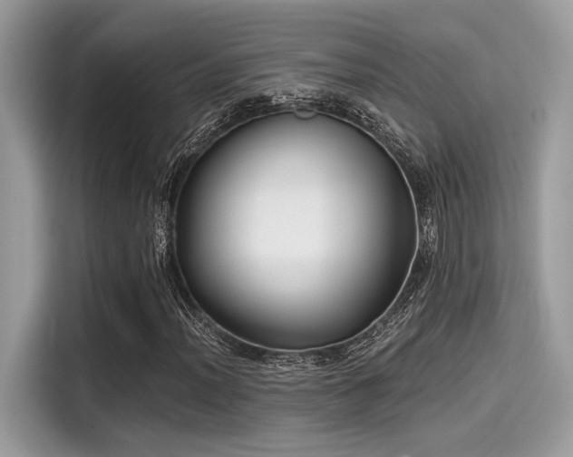 X0000115551012200911131600