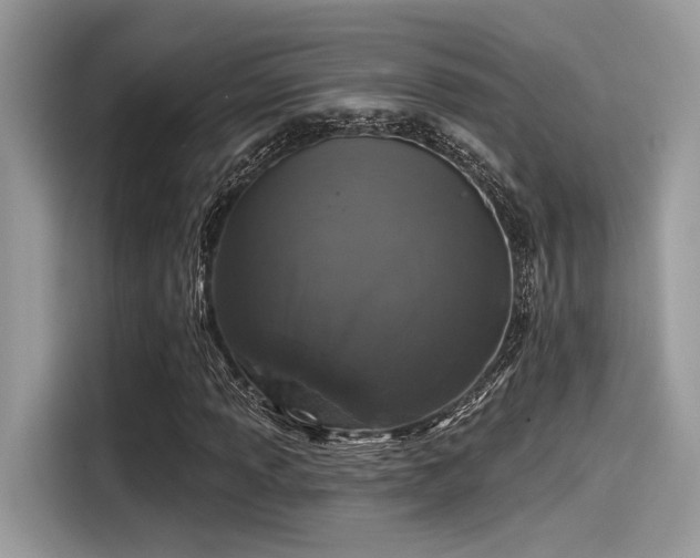 X0000115551013200911131600