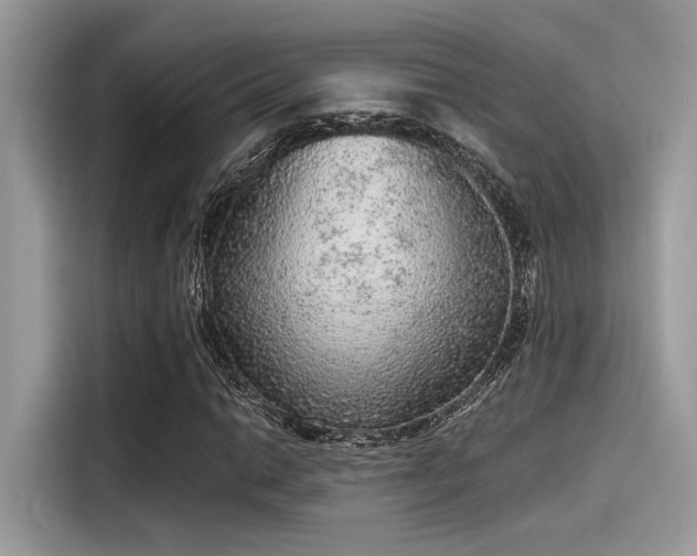 X0000115551014200911131600