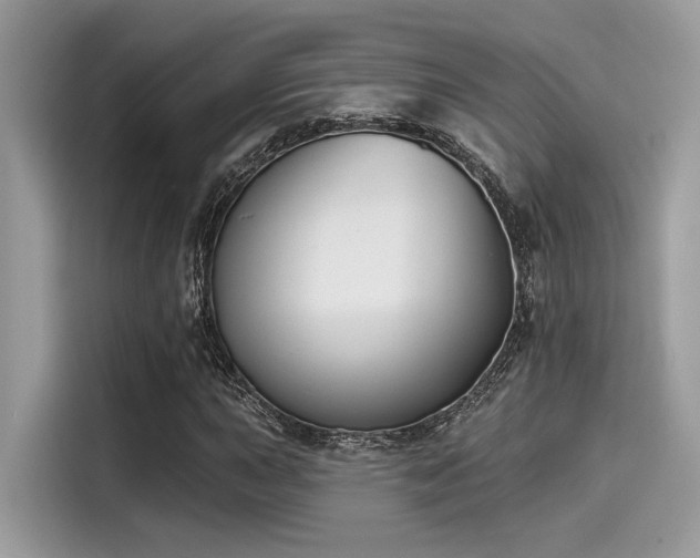 X0000115551015200911131600