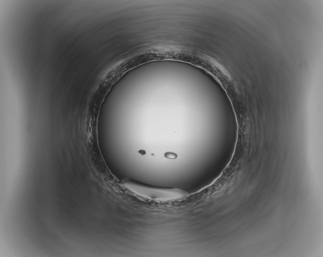 X0000115551016200911131600