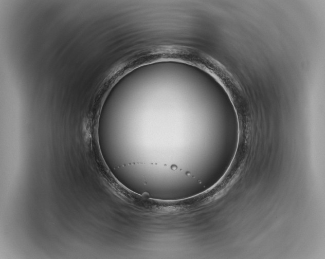 X0000115551017200911131600