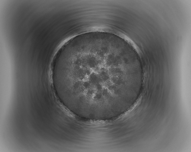 X0000115551019200911131600