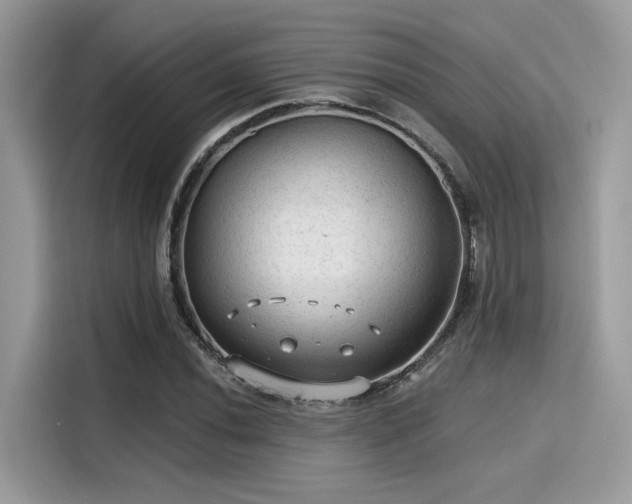 X0000115551020200911131600