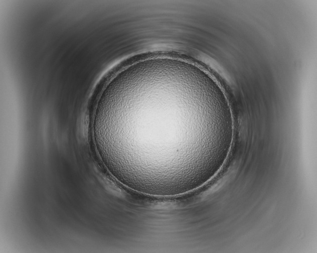 X0000115551021200911131600