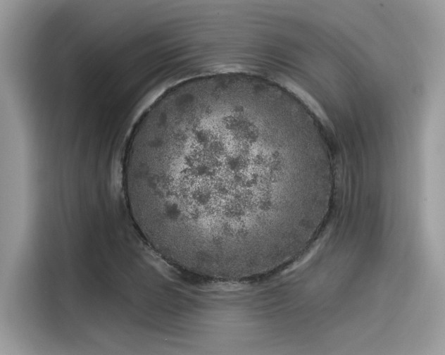 X0000115551023200911131600