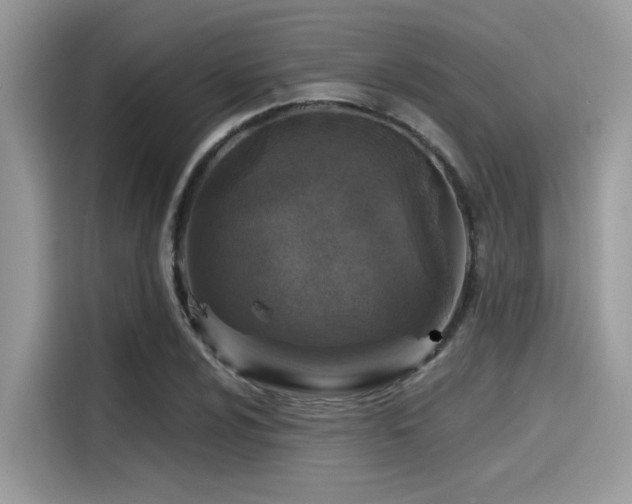 X0000115551024200911131600