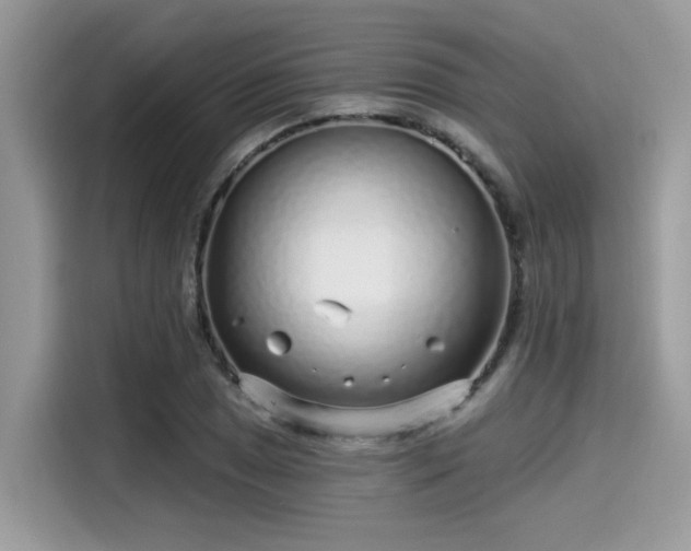 X0000115551025200911131600