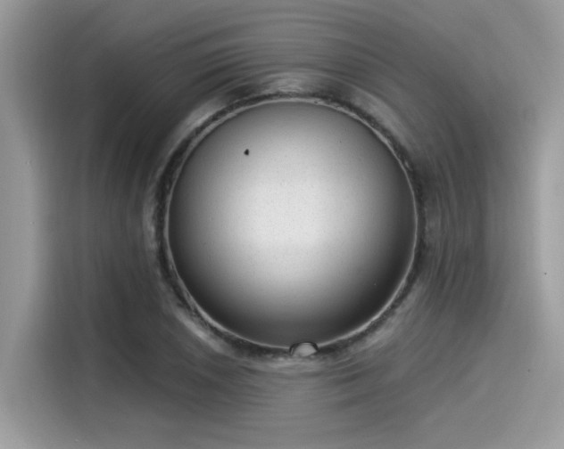 X0000115551026200911131600