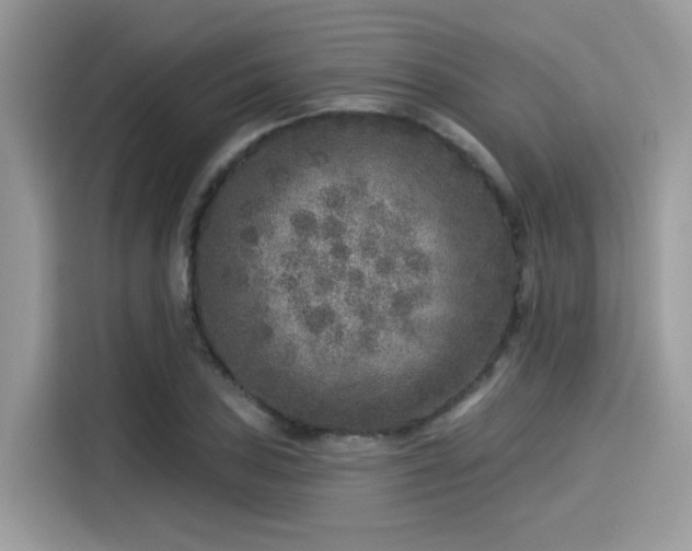 X0000115551027200911131600