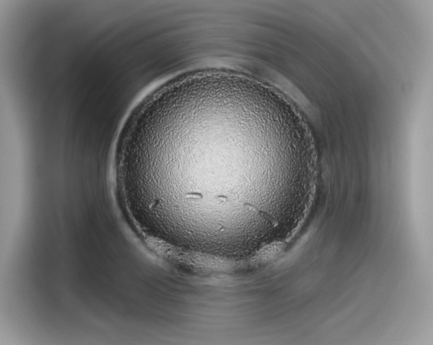 X0000115551028200911131600