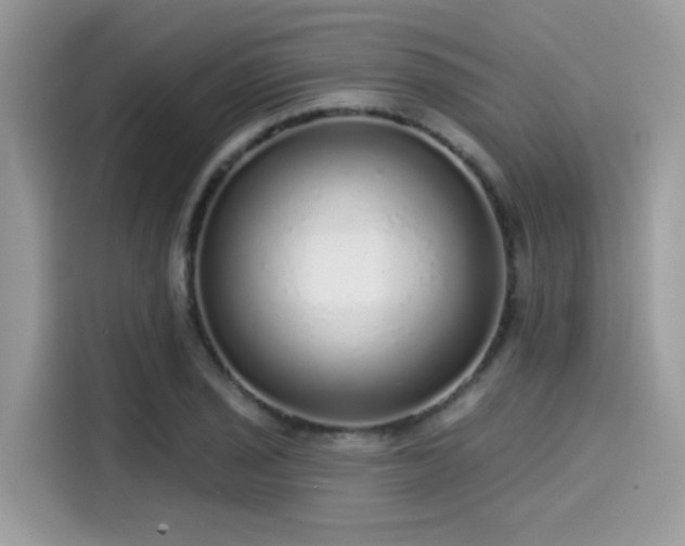 X0000115551029200911131600