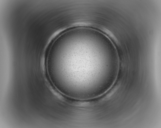 X0000115551030200911131600