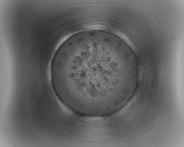 X0000115551031200911131600