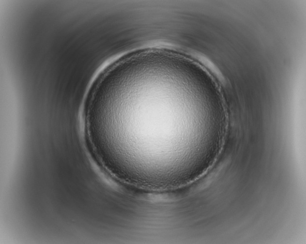 X0000115551032200911131600