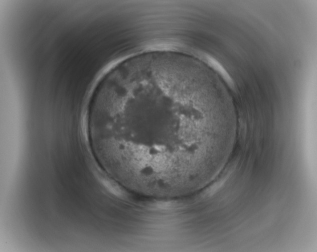 X0000115551035200911131600