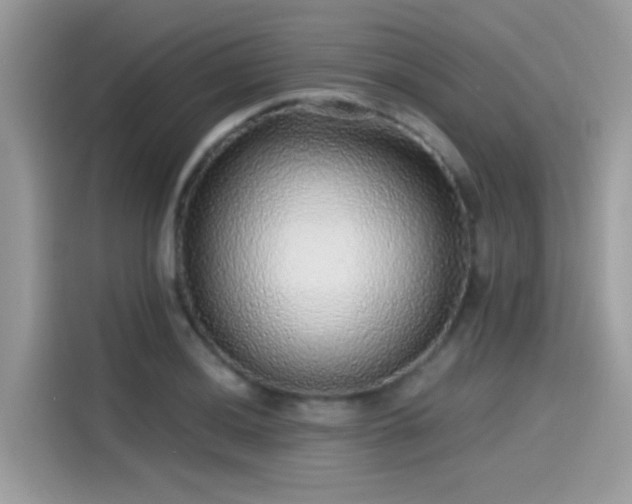 X0000115551036200911131600