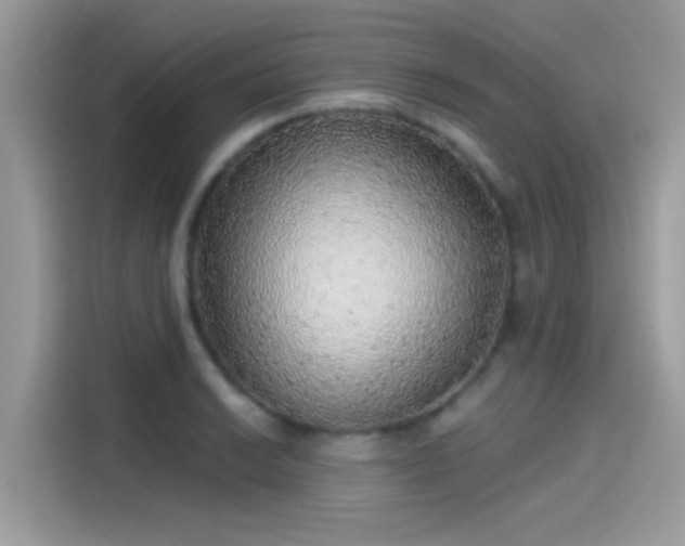 X0000115551038200911131600