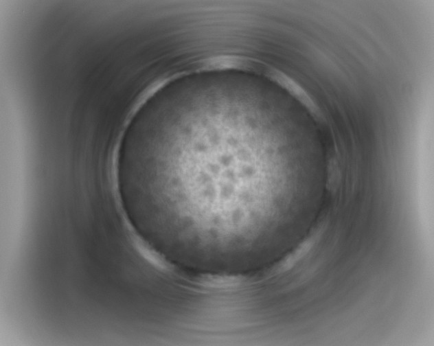 X0000115551039200911131600