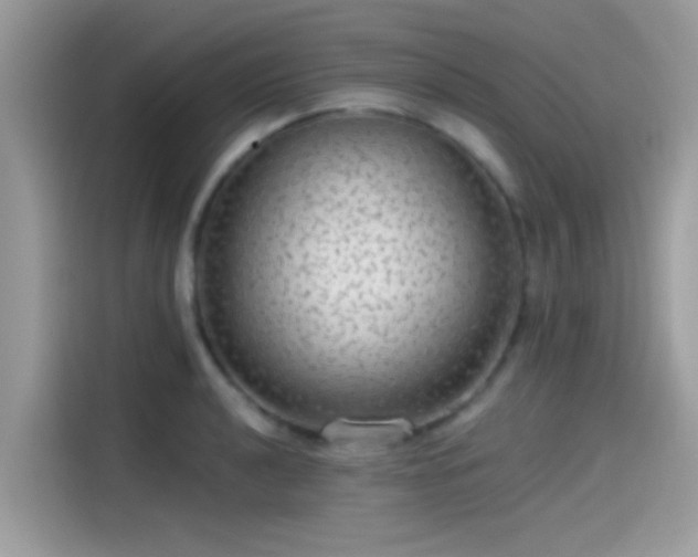 X0000115551040200911131600