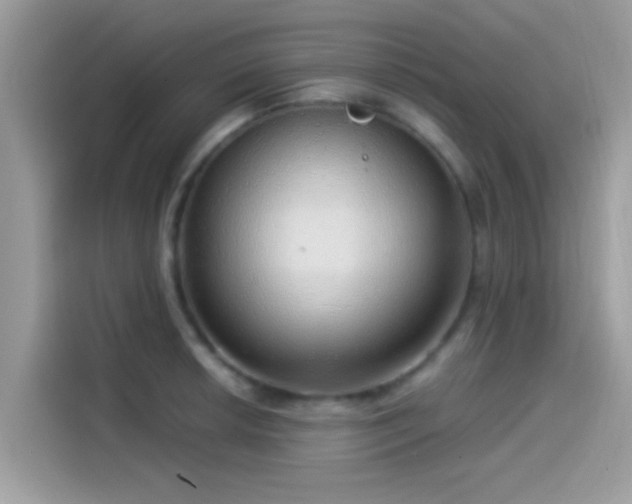 X0000115551042200911131600