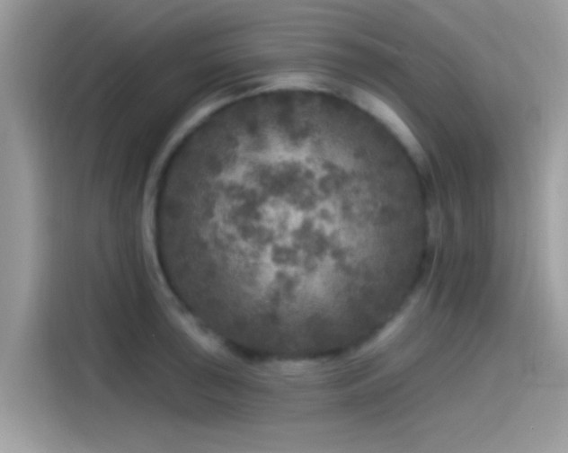 X0000115551043200911131600