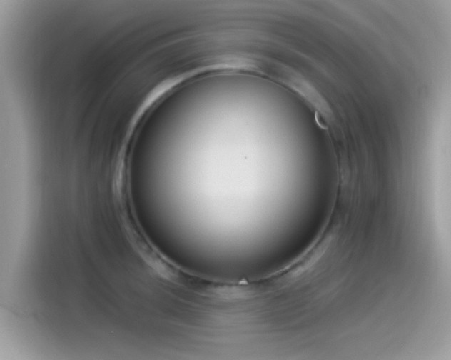 X0000115551044200911131600