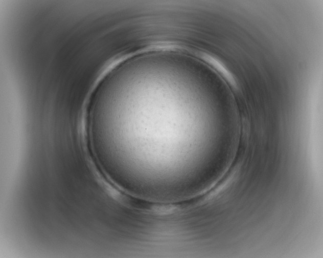 X0000115551046200911131600