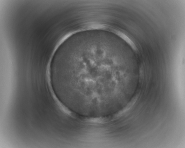 X0000115551047200911131600