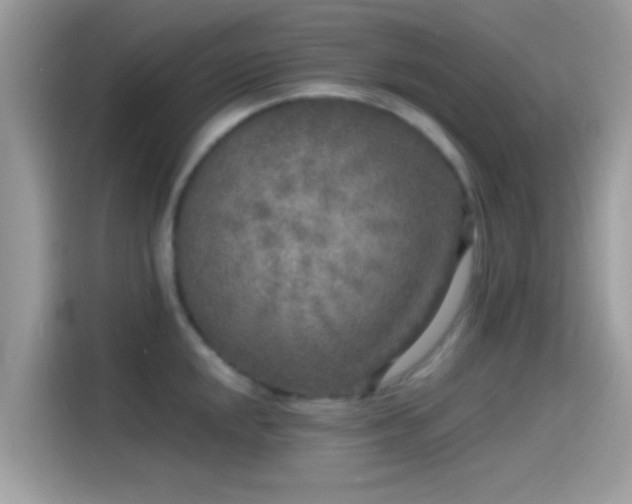 X0000115551048200911131600