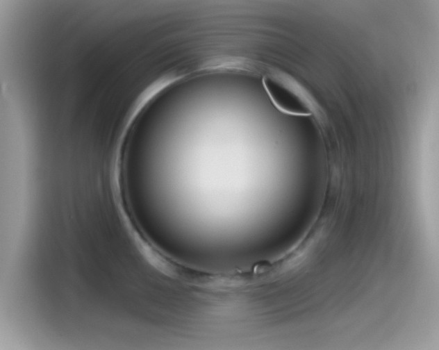 X0000115551050200911131600