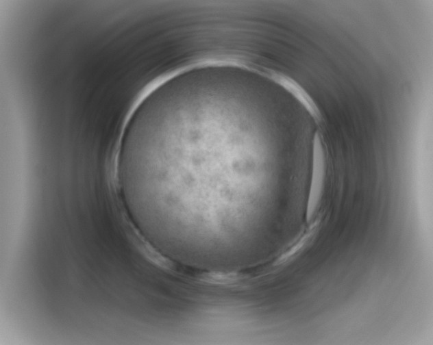 X0000115551052200911131600