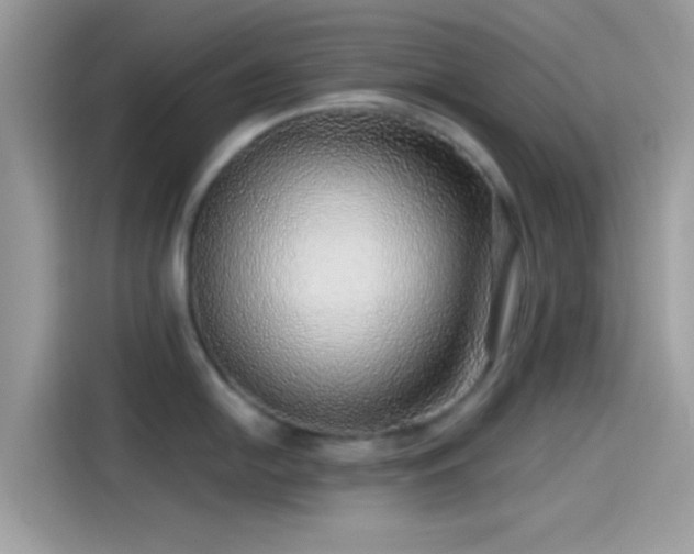 X0000115551054200911131600