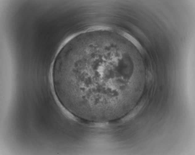 X0000115551055200911131600