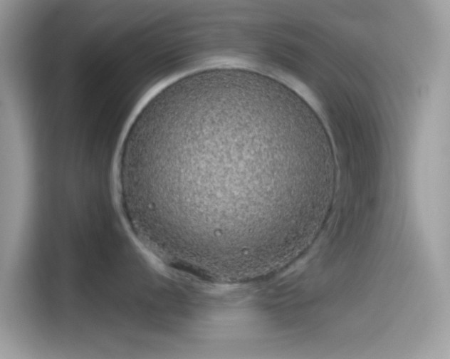 X0000115551056200911131600