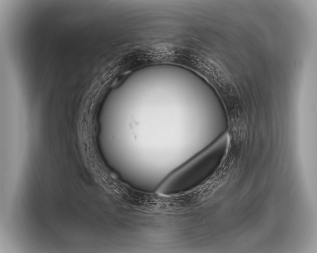 X0000115551057200911131600