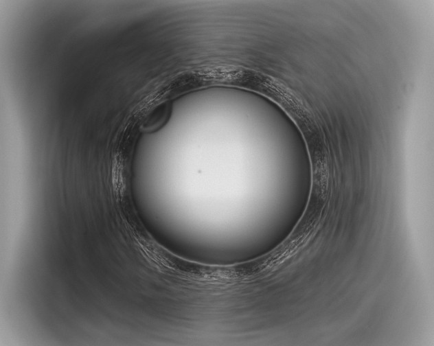 X0000115551058200911131600