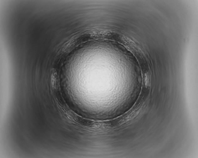 X0000115551059200911131600