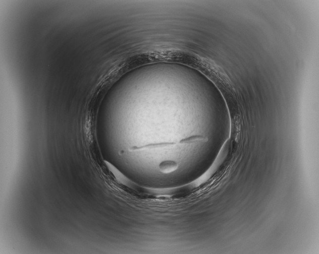 X0000115551060200911131600