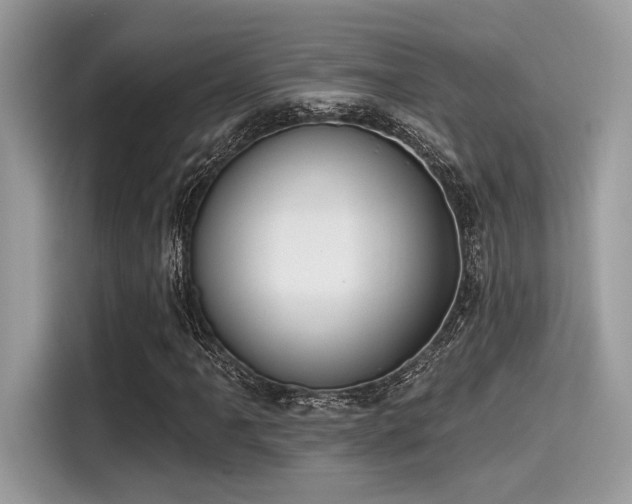 X0000115551061200911131600