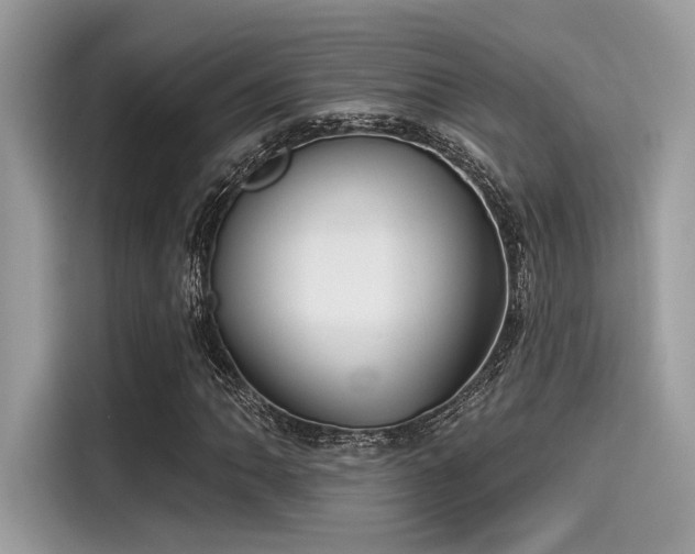 X0000115551062200911131600