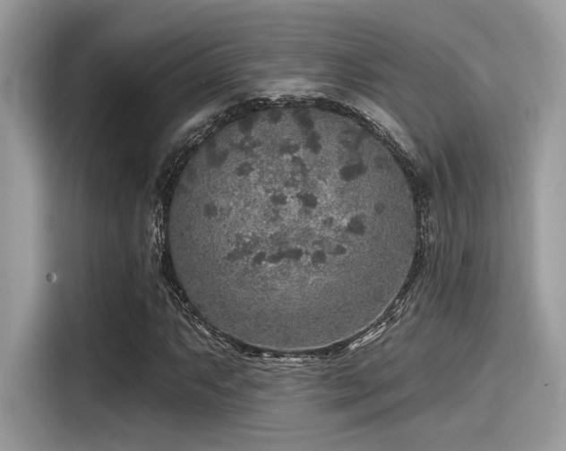 X0000115551063200911131600