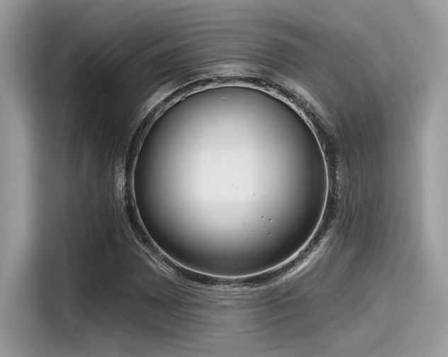 X0000115551065200911131559