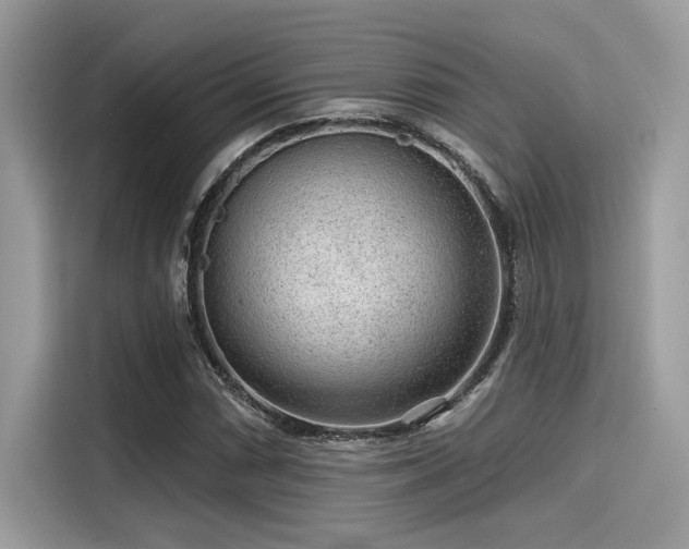 X0000115551066200911131559